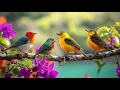 Download Lagu Relaxing Piano \u0026 Bird Songs | Soothing Nature Sounds for Stress Relief and Meditation
