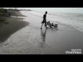 Download Lagu Latar belakang Laut kepuh patrol