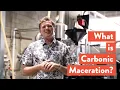 Download Lagu What is Carbonic Maceration?