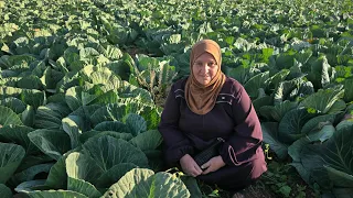 كزدورة حلوة  في منطقة البركتين ووادي الدير في جرش وجمال الاراضي الزراعية فيها  وجولة في احد المخابز دندنها