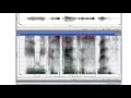 Step by step through a spectrogram