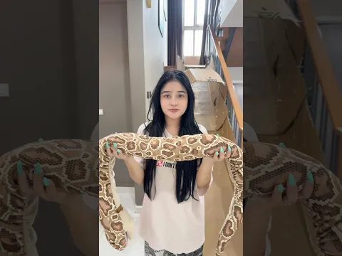 Cute 🤣🐍