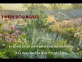 แปลไทย | i wish you roses by kali uchis || Thai sub +lyrics