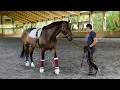 Dr Cesar Parra - Behind the scenes of his methods