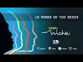 La Magia De Tus Besos, Etnia,  Grupo Niche - Audio