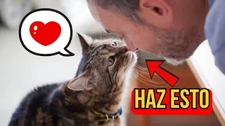 8 Claves para que tu gato sepa que lo amas  (en un lenguaje que él entiende)