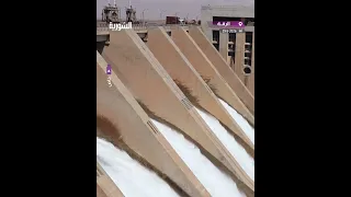                                   دندنها
