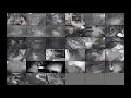 Witson CMS CCTV live 6 remote sites 33 cameras total Night Mode