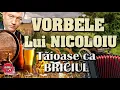 Download Lagu MUZICA DE PETRECERE – GEORGE NICOLOIU - VORBELE LUI NICOLOIU, TAIOASE CA BRICIUL