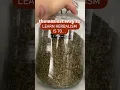 Download Lagu The easiest way to learn herbalism… do it 🌿