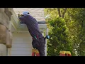 Showcasing 30 Years of Experience Town Country Seamless Gutters in Durham CT