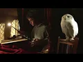 2 hours of Hedwig's Theme