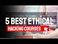 5 Best Ethical Hacking Courses Udemy 98 1 Success