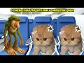 Download Lagu CAT MEMES ROAD TRIP WITH FAMILY COMPILATION 1 HOUR