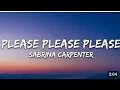 Download Lagu Sabrina Carpenter - please please please (Lyrics)