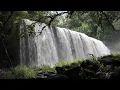 Download Lagu MUSIK INSTRUMEN SUARA ALAM, AIR TERJUN DAN SUARA BURUNG UNTUK RELAKSASI DAN MEDITASI