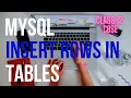 How To Insert Multiple Rows In a Table Computer Science Class 12 Mysql
