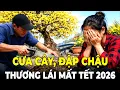 Lagu Thê Thảm Tết 2026: Tiếng Cưa Xẻ Nát Gốc Mai, Tiểu Thương Thà Đập Chậu Vứt Sông Chứ Không Bán Rẻ!