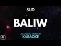 SUD - Baliw (Karaoke/Acoustic Instrumental)