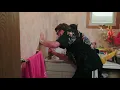 Trailer park boys - Ricky the handyman bathroom scene