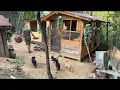 Download Lagu The man builds this paradise for his animals. Life in the mountain village.