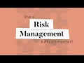 What Is Risk Management Why Is It Important Business Explained