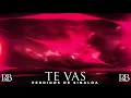Perdidos de Sinaloa - Te vas (karaoke)