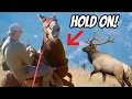 Can We Outsmart This Bull Elk 5 Day Trip