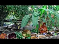 Download Lagu WARUNG NISOR BARONGAN!! TEMPATE NYEMPIL TERKENAL DENGAN NASI JAGUNG UPLUK UPLUK