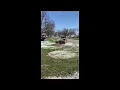 1990 BOBCAT 542B For Sale