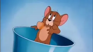 اغنية احساس من القلب دنيا سمير غانم 