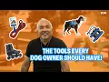 BEST TOOLS EVERY DOG OWNER SHOULD HAVE DOG TIPS