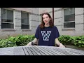 Transfer Orientation 2024