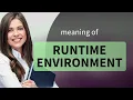 Understanding the Runtime Environment in English