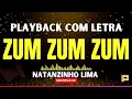 Download Lagu Melzinho (Zum, Zum, Zum) - Natanzinho Lima (Playback com Letra)