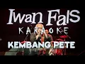 Lagu Karaoke Iwan Fals - KEMBANG PETE