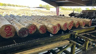 Cutting 4x4s, 10x10s, and 12 x 12’s Pine with a 66” Solid Tooth Saw”