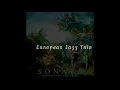 Raindrop - European Jazz Trio