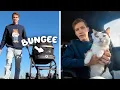 I Spent the Day with a Shelter Cat and Spoiled Him