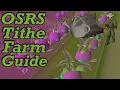 OSRS Tithe Farming Guide Old School Runescape Tithe Farm Guide