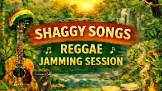 shaggy songs reggae cover reggae jamming session