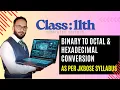 Binary to Octal Hexadecimal Conversion in Python Class 11 Computer Science