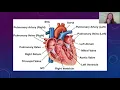 Phlebotomy - Chapter 6