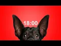 18 Minute Timer for School Homework Dog Bark Alarm Sound Improve Focus Productivity