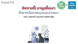 สุนัขแสดงความรักต่อเจ้าของอย่างไร