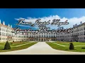 Joseph Haydn - Symphony No. 1, Hob.I:1 (1759) {Hogwood}