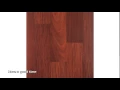 wood floors plus