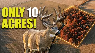 3 Bucks Over 170 on JUST 10 Acres Here s How