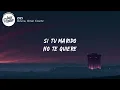 Ozuna - ZIZI (Lyrics) ft. Omar Courtz