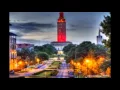 Wake Forest University